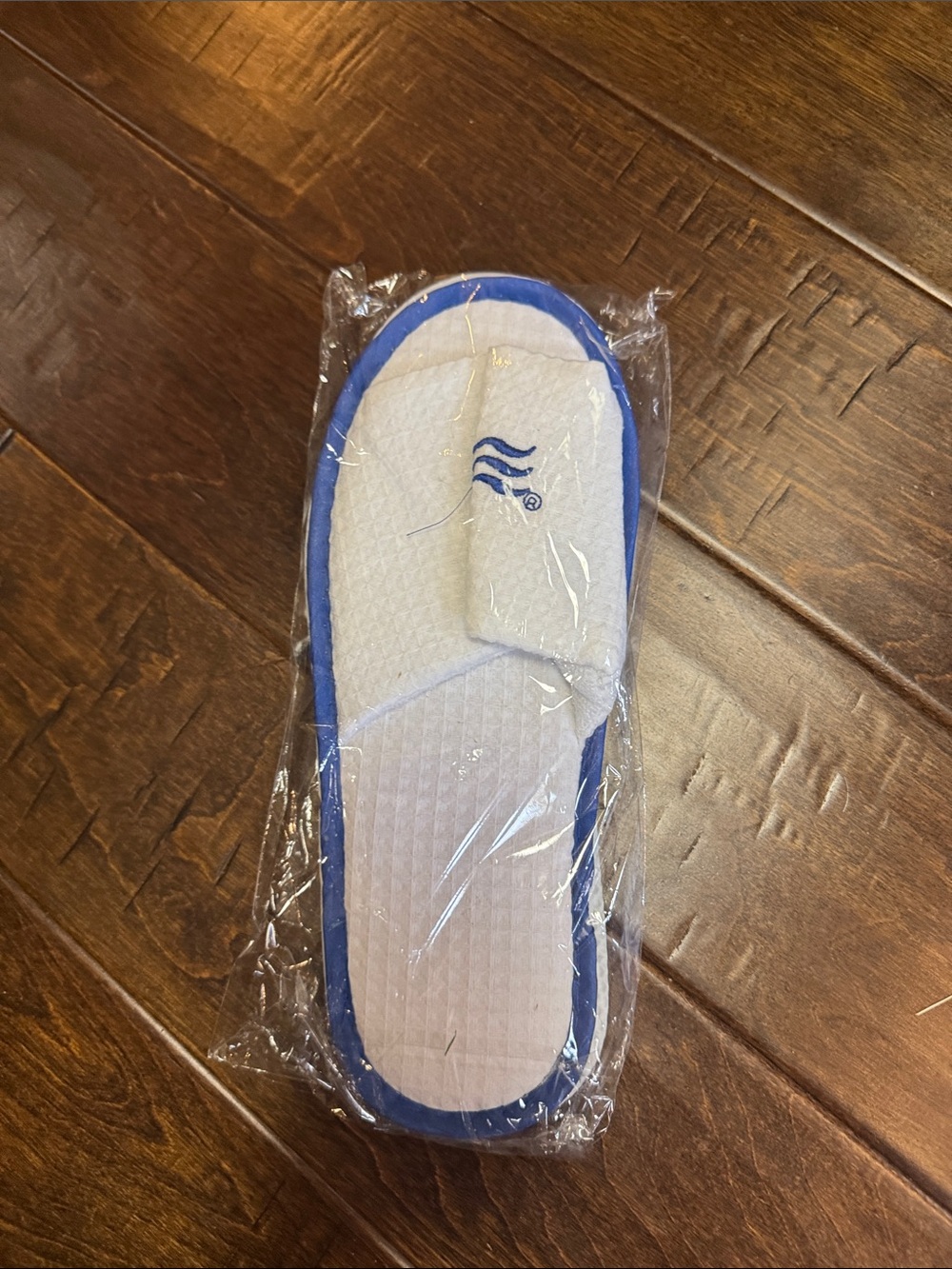 White Hotel-Style Slippers with Blue Trim